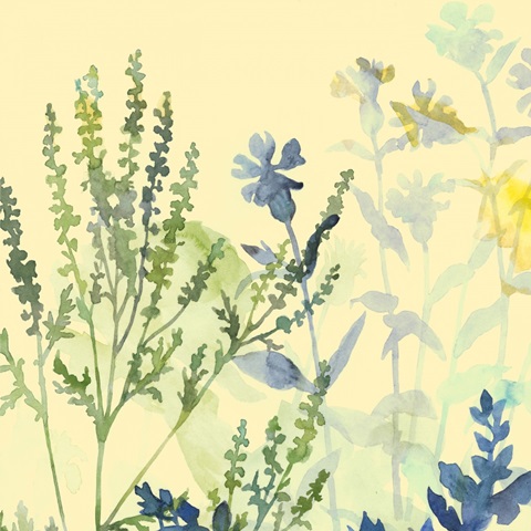 Butterfly Garden Collection C