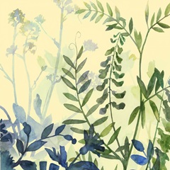 Butterfly Garden Collection E