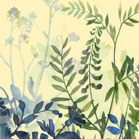 Butterfly Garden Collection E