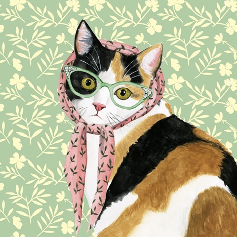 Cat Lady Collection A