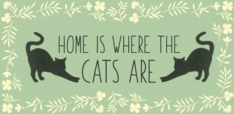 Cat Lady Collection C