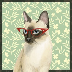 Cat Lady Collection E