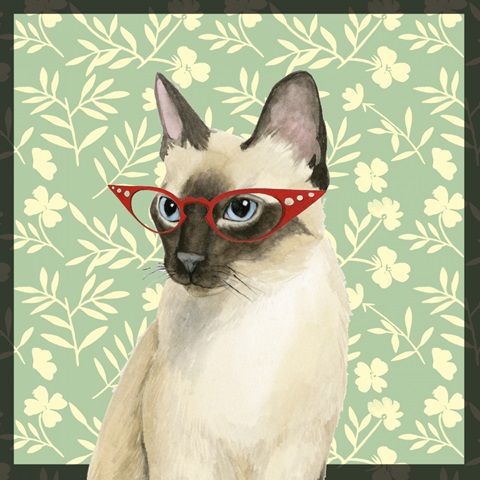 Cat Lady Collection E