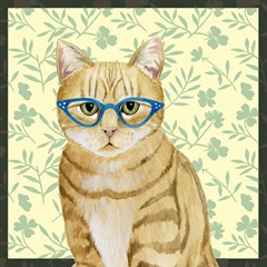 Cat Lady Collection F