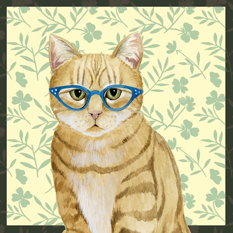 Cat Lady Collection F