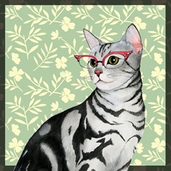 Cat Lady Collection G