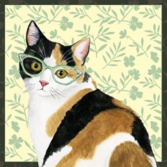 Cat Lady Collection H