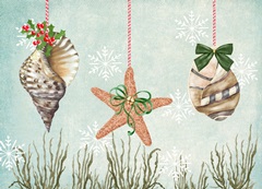 Christmas Coastal Collection A