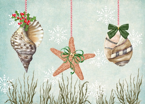 Christmas Coastal Collection A