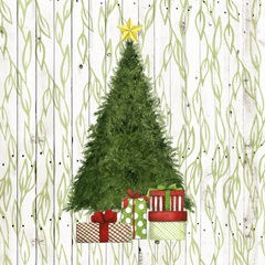 Christmas Morning Collection A