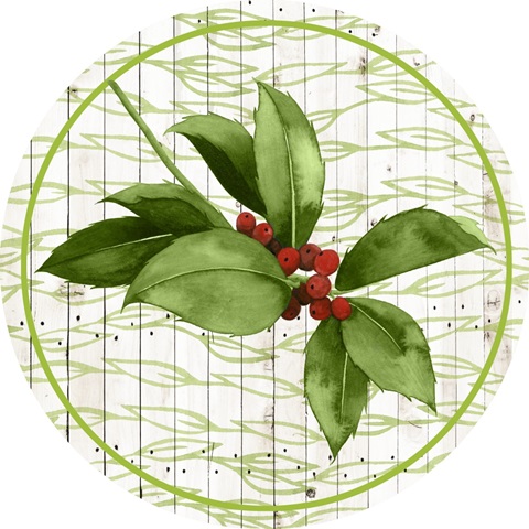 Christmas Morning Collection H