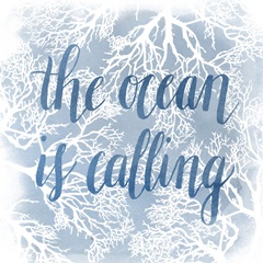 Coastal Coral Collection A