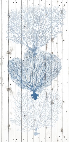 Coastal Coral Collection B