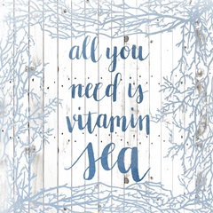 Coastal Coral Collection E