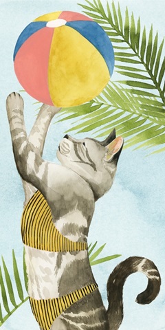 Coastal Kitty Collection B