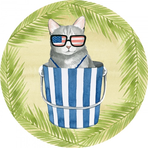 Coastal Kitty Collection C