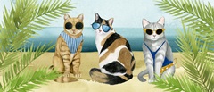 Coastal Kitty Collection D