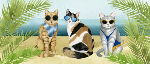 Coastal Kitty Collection D