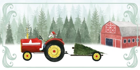 Country Santa Collection D