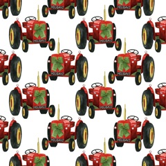 Country Santa Collection F