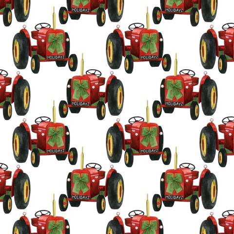 Country Santa Collection F