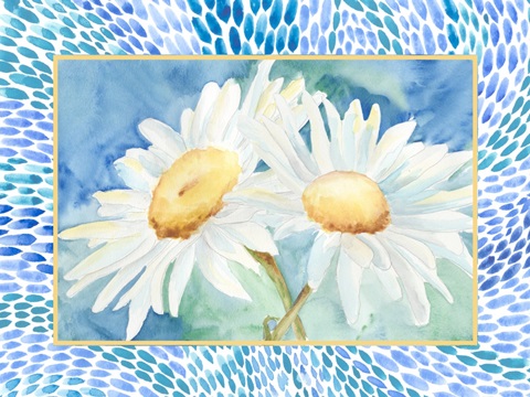 Daisy Sunshine Collection A