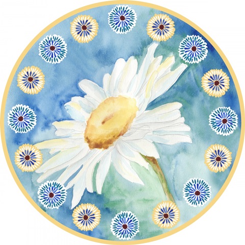 Daisy Sunshine Collection C