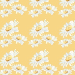 Daisy Sunshine Collection H