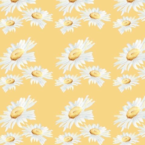 Daisy Sunshine Collection H