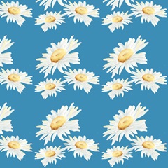 Daisy Sunshine Collection I
