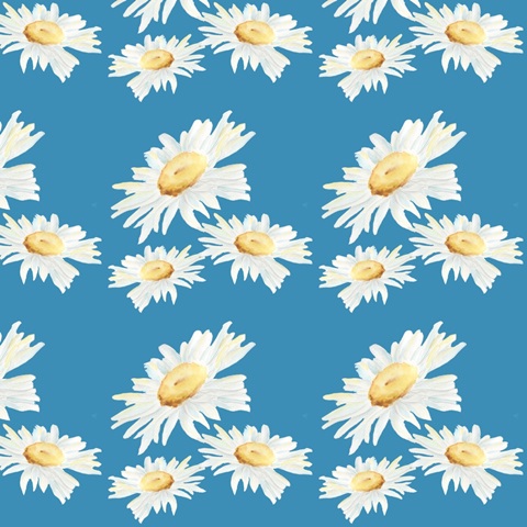 Daisy Sunshine Collection I