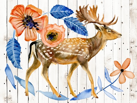 Dear Deer Collection A