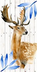 Dear Deer Collection B