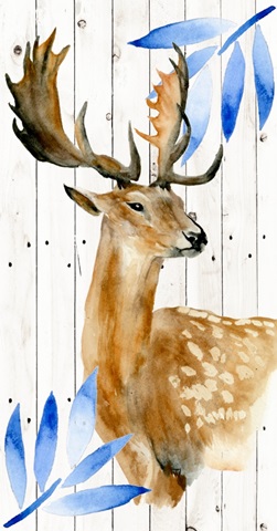 Dear Deer Collection B