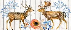Dear Deer Collection D