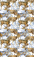 Dear Deer Collection E