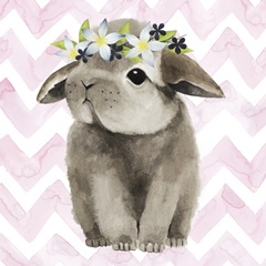 Easter Babies Collection E