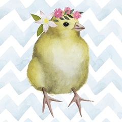 Easter Babies Collection F