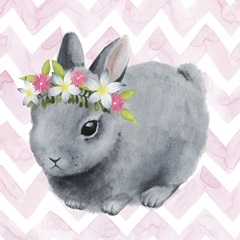 Easter Babies Collection G