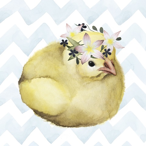 Easter Babies Collection H