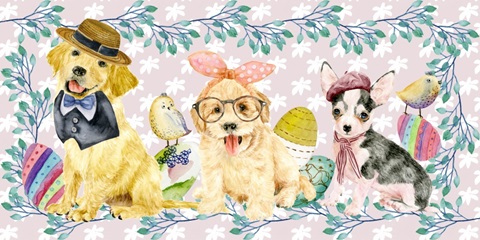 Easter Pups Collection D