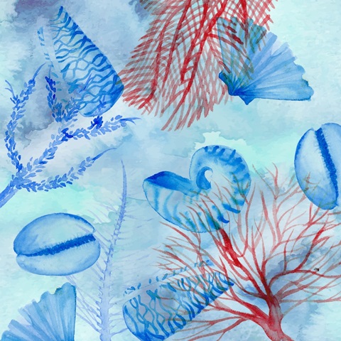 Elegant Fish Collection A