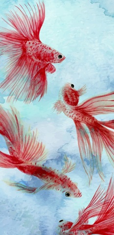 Elegant Fish Collection B