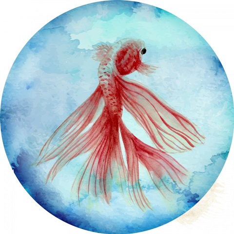 Elegant Fish Collection E