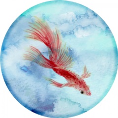 Elegant Fish Collection H