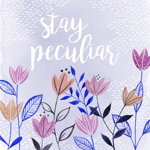 Enchanting Forester Collection A