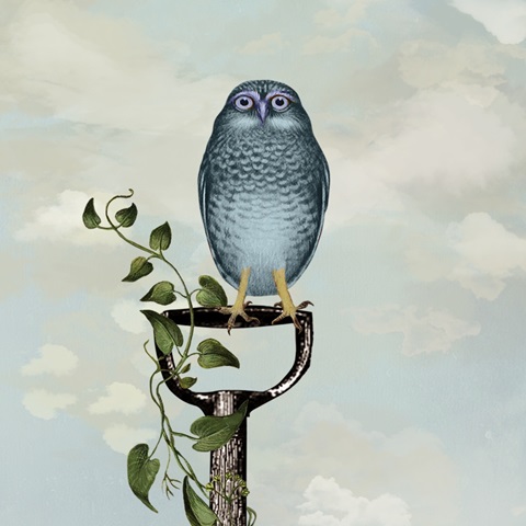 Fab Funky Owl Fun Collection C