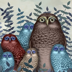Fab Funky Owl Fun Collection D