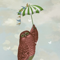 Fab Funky Owl Fun Collection E