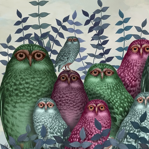 Fab Funky Owl Fun Collection F